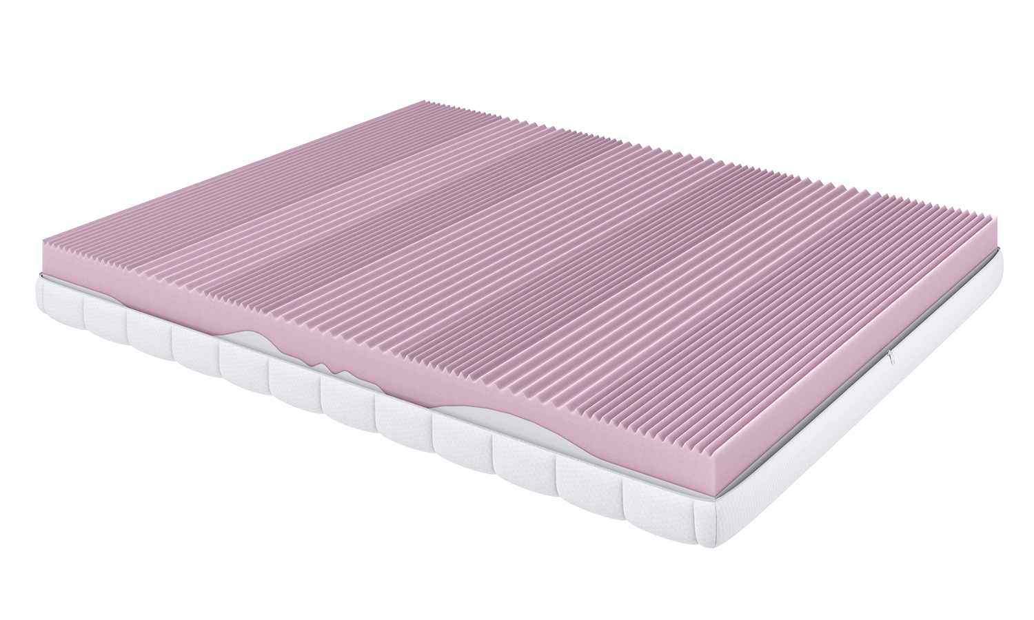 Visualization of the Ergo mattress longitudinal section